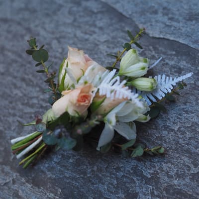 Knapphullsblomst med ferskenfarget rose