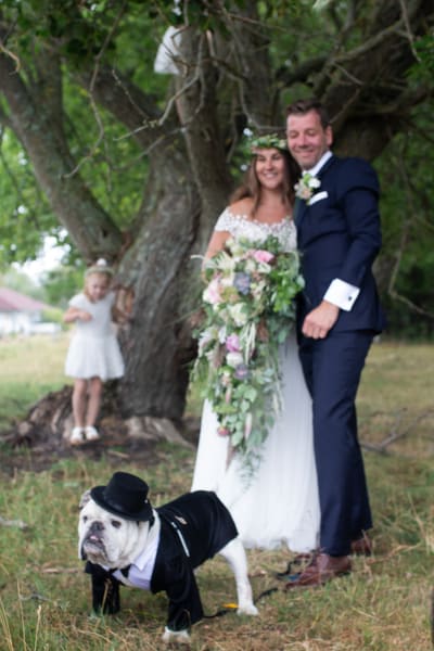 Brudepar under et tre sammen med hunden sin